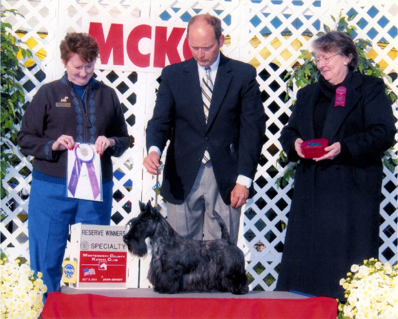 Dog awards ceremony